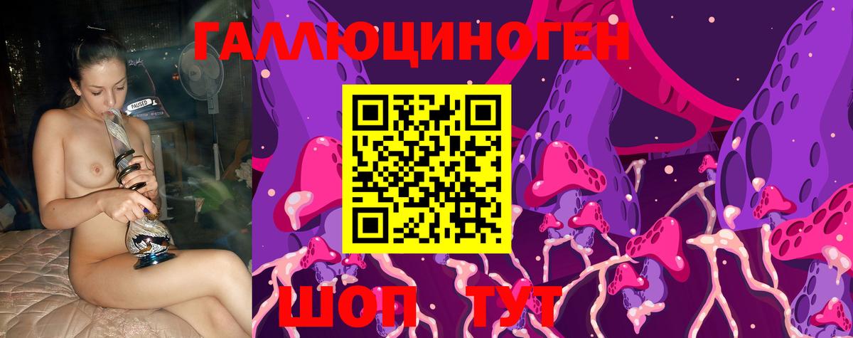 Галлюциногенные грибы Psilocybine cubensis Топки